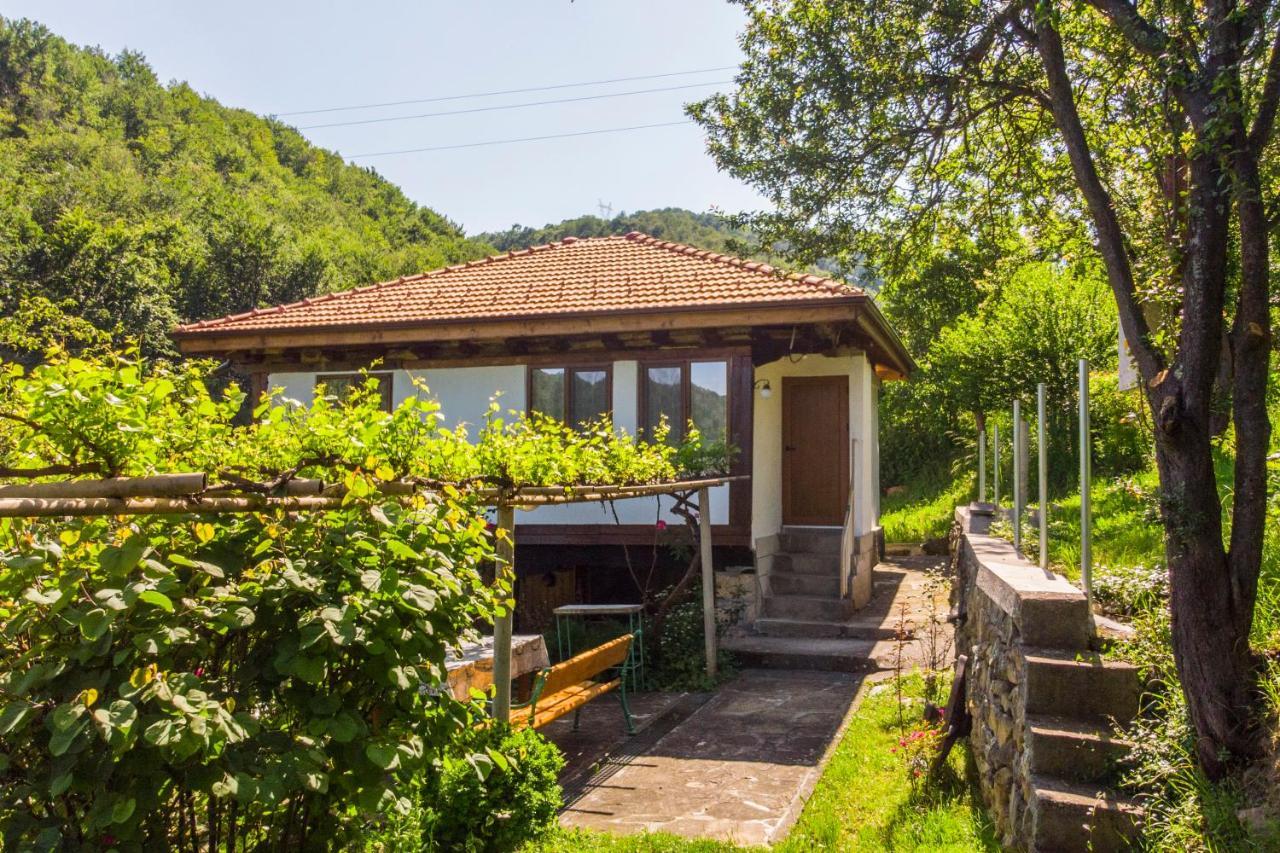Holiday Home Lyubovo Gabrovo Exterior photo