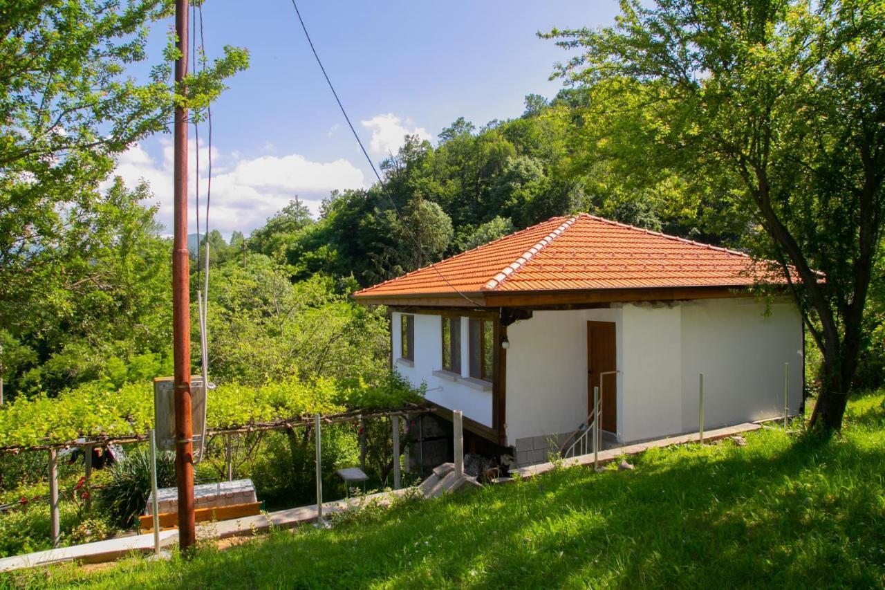 Holiday Home Lyubovo Gabrovo Exterior photo