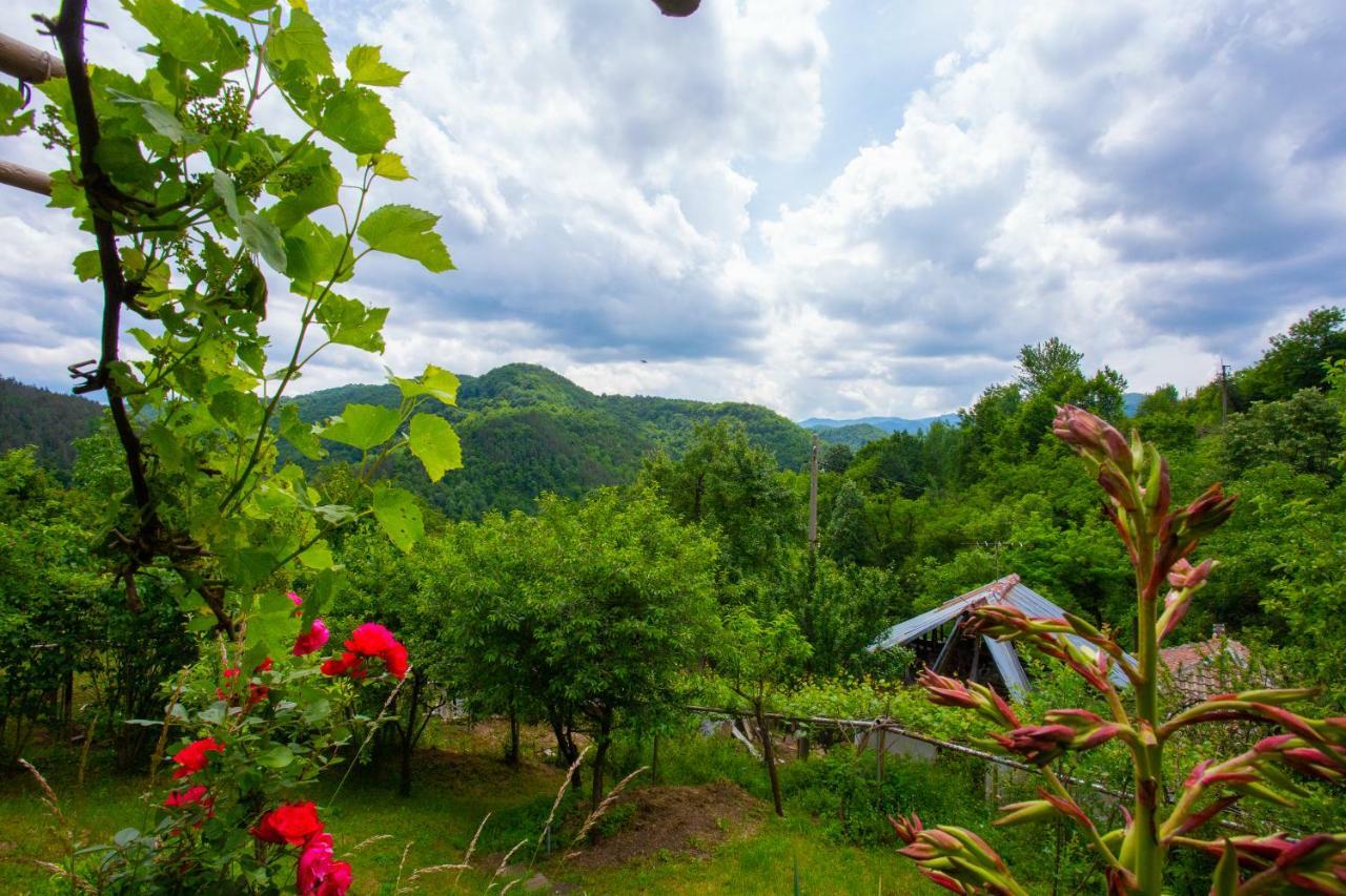 Holiday Home Lyubovo Gabrovo Exterior photo
